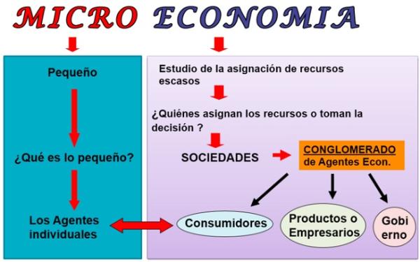 MICROECONÓMICO: CONCEPTOS, ELEMENTOS Y EJEMPLOS CLAROS