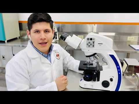 MICROSCOPIO: PARTES, SIGNIFICADO e Importancia Revelada