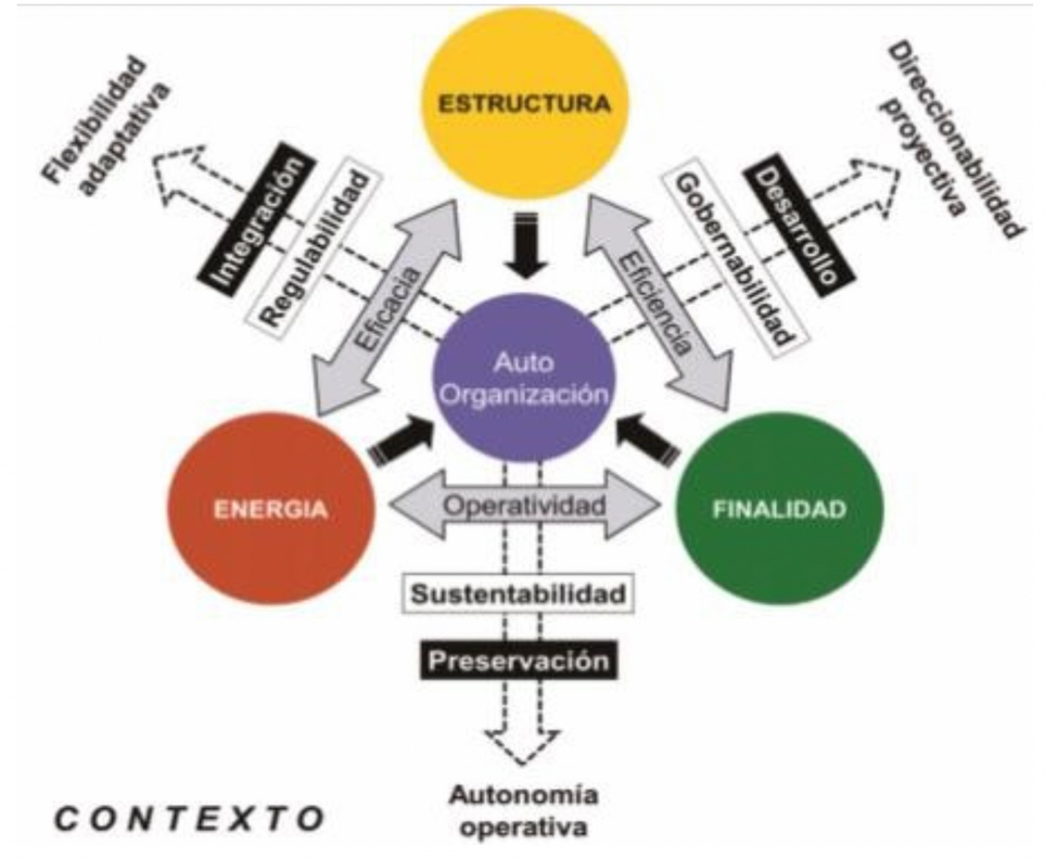 MORFOGENESIS: Definición, FORMAS y CONCEPTOS Esenciales