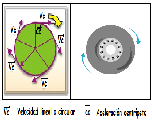 MOVIMIENTO CIRCULAR UNIFORME: TIPOS Y ELEMENTOS CLAVE