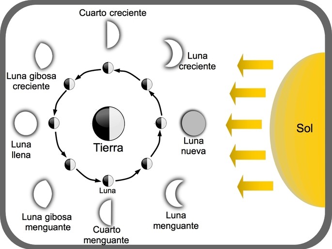 MOVIMIENTO Y CARACTERÍSTICAS DE LA LUNA: DESCÚBRELAS