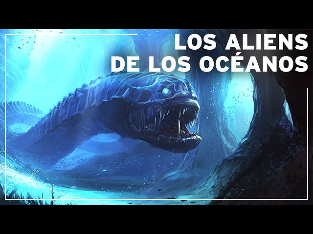 MOVIMIENTOS DEL AGUA: DESCUBRE SUS SECRETOS MARINOS