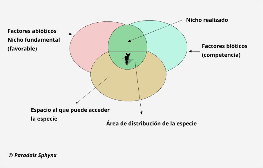 NICHO ECOLÓGICO: DEFINICIÓN, TIPOS y EJEMPLOS INTERESANTES