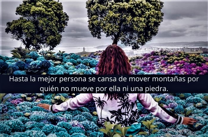 NO POR MUCHO MADRUGAR: DESCUBRE SU VERDADERO SIGNIFICADO