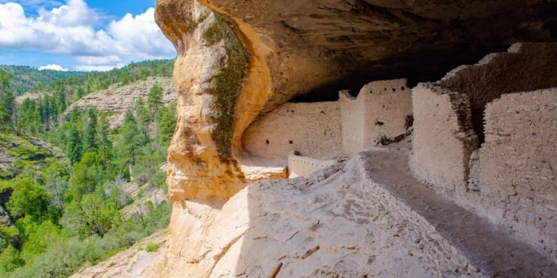 OASISAMÉRICA: CARACTERÍSTICAS y CULTURAS Sorprendentes