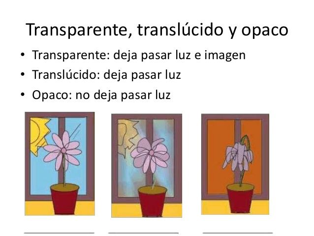 OBJETOS OPACOS: ¡Descubre las PROPIEDADES de la LUZ!