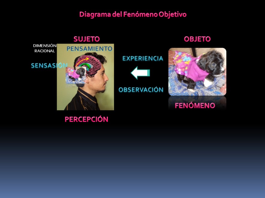 OBSERVACIÓN: Qué SIGNIFICA en el ARTE Define y Entiende