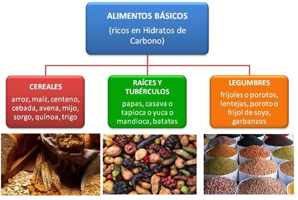 OLIGOSACÁRIDOS: 20 EJEMPLOS ESENCIALES que Debes Conocer
