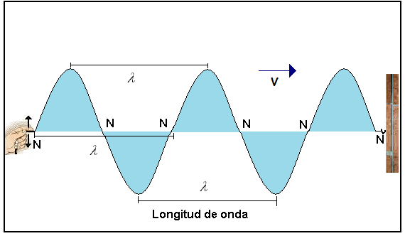 ONDA TRANSVERSAL: Definición y Ejemplos Impactantes