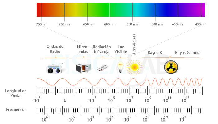 ONDAS MECÁNICAS y ELECTROMAGNÉTICAS: ¡Descubre sus CLASES!