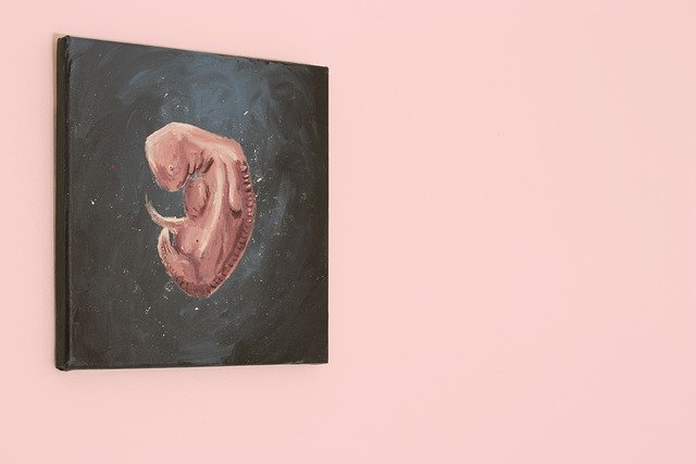 ONTOGENIA: DEFINICIÓN y TEORÍA Esencial para Entender