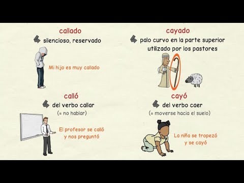ORACIONES CON HOMÓFONAS: 20 EJEMPLOS IMPRESCINDIBLES