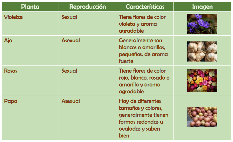 ORGANICEMOS NUESTRA INFORMACIÓN: QUÉ ES UNA ORACIÓN TÓPICA