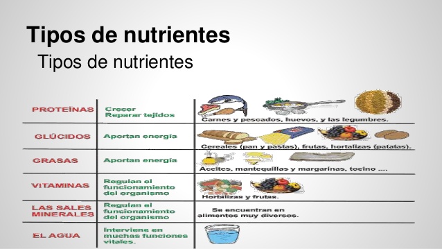 ORGANISMOS EN BIOLOGÍA: TIPOS Y NUTRICIÓN ESENCIAL