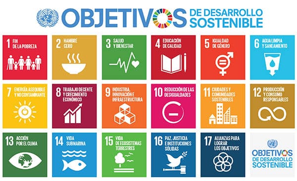 ORGANISMOS INTERNACIONALES: Claves y Oportunidades Únicas