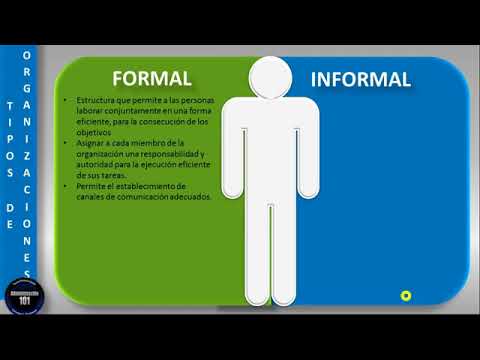 Organizaciones Formales: 10 Ejemplos que Sorprenden