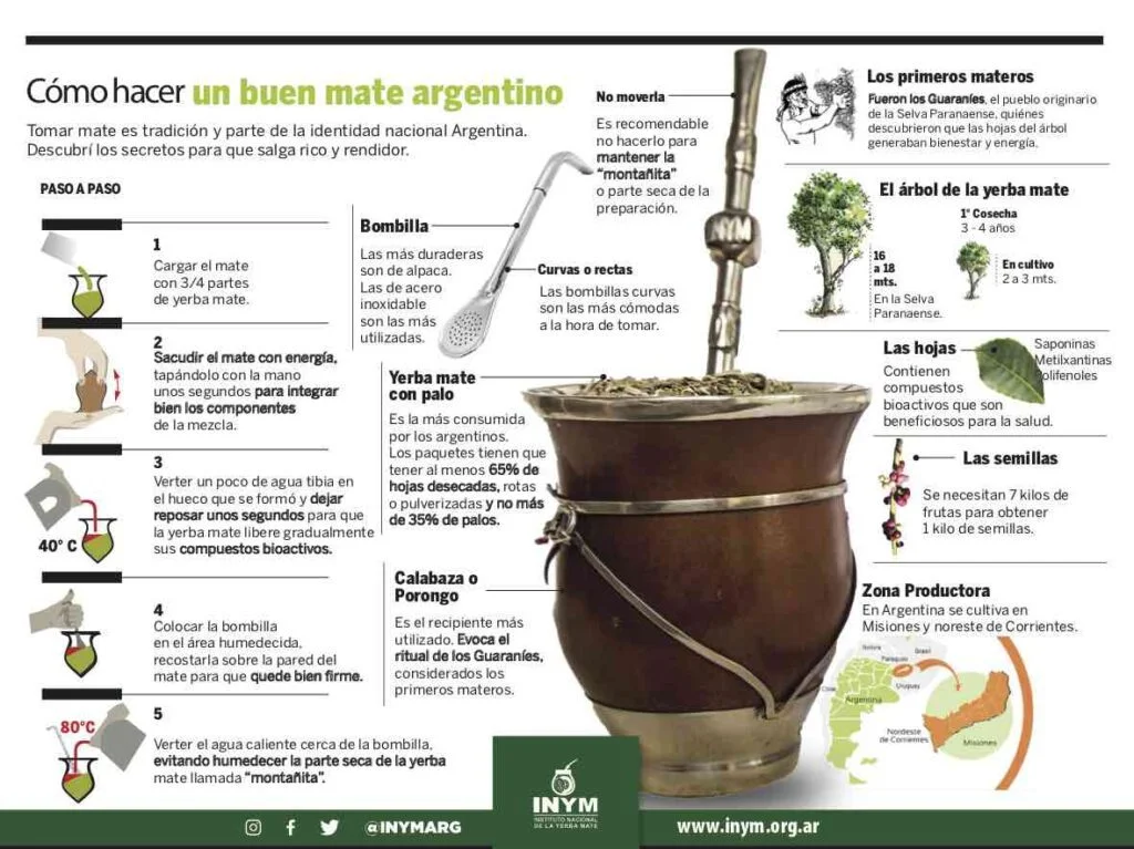 ORIGEN DEL MATE: HISTORIA, BENEFICIOS Y CÓMO PREPARARLO