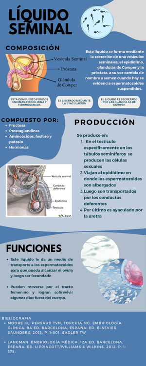OVOGÉNESIS vs ESPERMATOGÉNESIS: ¡DESCUBE SUS CLAVES!