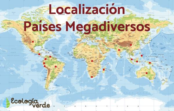 PAÍSES MEGADIVERSOS: Descubre su BIODIVERSIDAD única