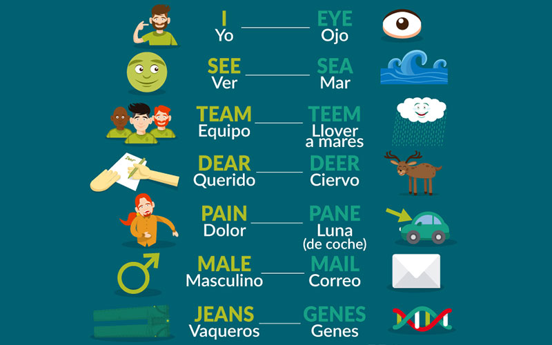 PALABRAS IGUALES con SIGNIFICADO DIFERENTE: 50 Ejemplos