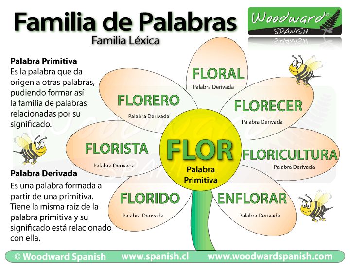 PALABRAS PRIMITIVAS: 100 EJEMPLOS y DERIVADAS ¡Descúbrelas!
