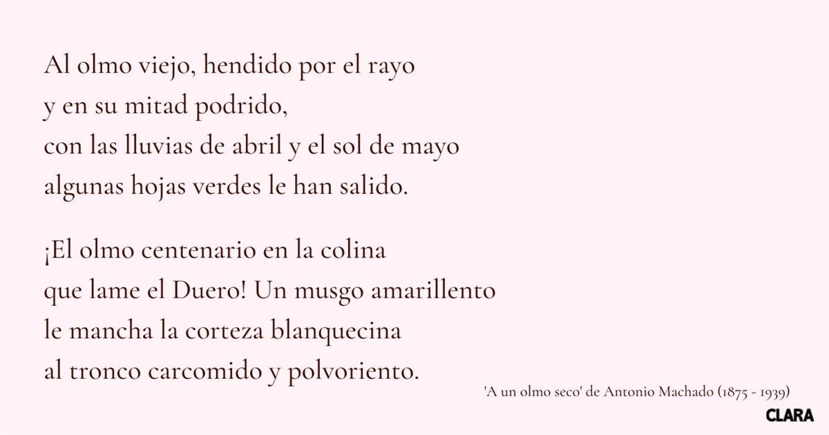 PALABRAS que RIMAN con ABEJA: ¡100 Ejemplos y Poemas!