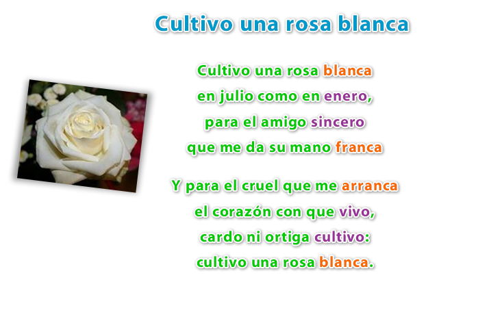 PALABRAS QUE RIMAN CON FLOR: ¡100 Ejemplos y Poemas!