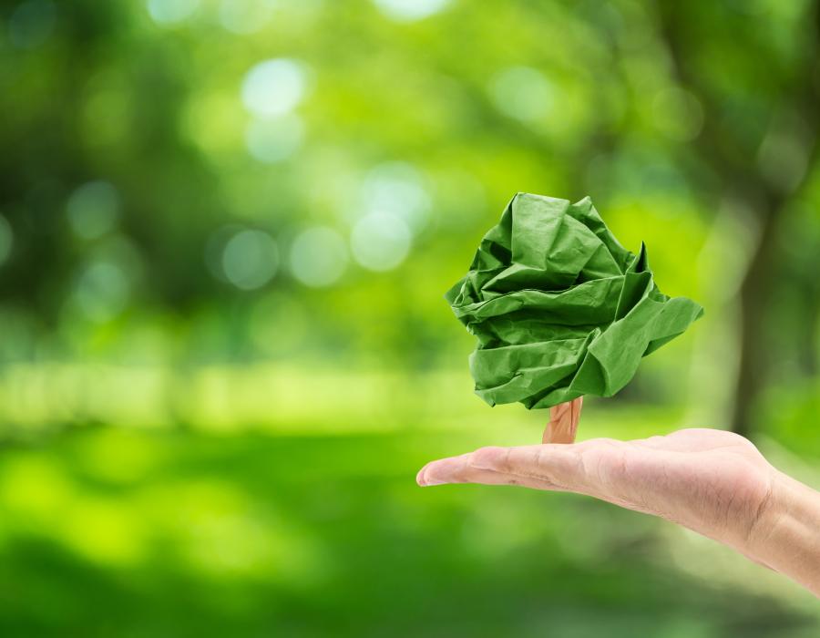 PAPEL o PLÁSTICO: Cuál opción es la MEJOR para el medio ambiente