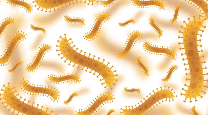 PARASITOLOGÍA: Qué es y su IMPORTANCIA en la SALUD