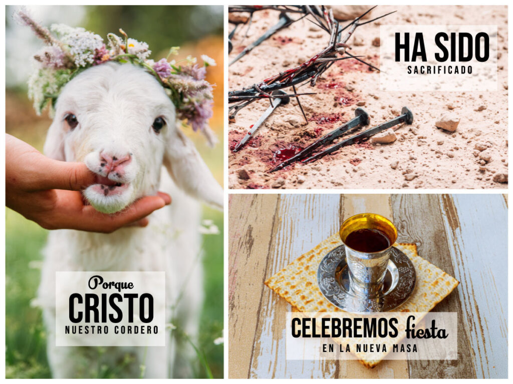 PASCUA JUDÍA: Significado y su IMPACTO en la BIBLIA