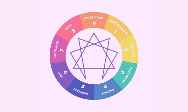 PERENNE: DESCUBRE SU SIGNIFICADO Y DEFINICIÓN CLAVE