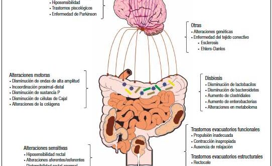 PERÍODO DE INCUBACIÓN: Definición CLARA y CONCEPTOS Clave