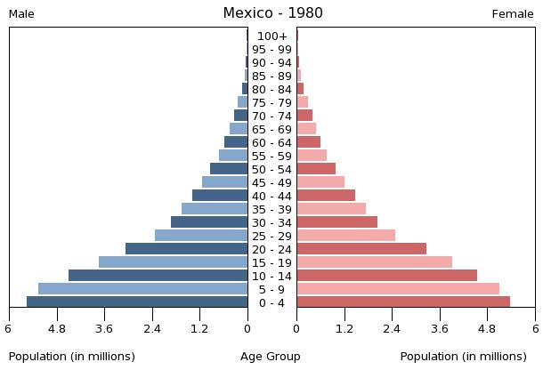 PIRÁMIDE DE POBLACIÓN en MÉXICO: TIPOS y DATOS ESENCIALES