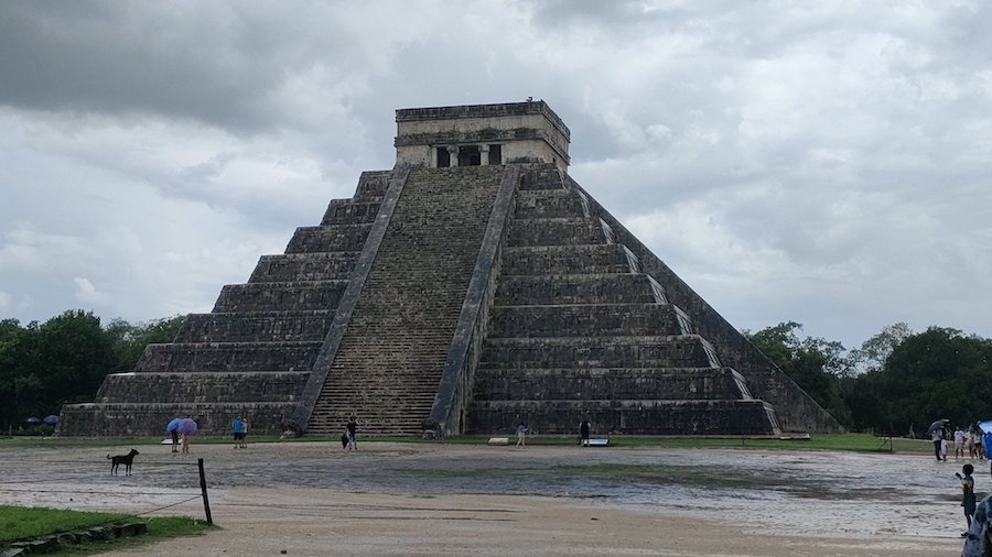 PIRÁMIDES ECOLÓGICAS: Descubre su Impacto ¡Increíble!