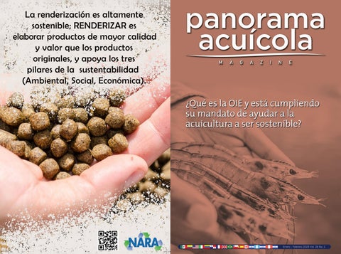PISCICULTURA: Qué Es, SIGNIFICADO y ORÍGENES Reveladores
