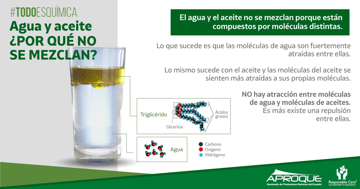 POR QUÉ el AGUA y el ACEITE NO se MEZCLAN Descúbrelo