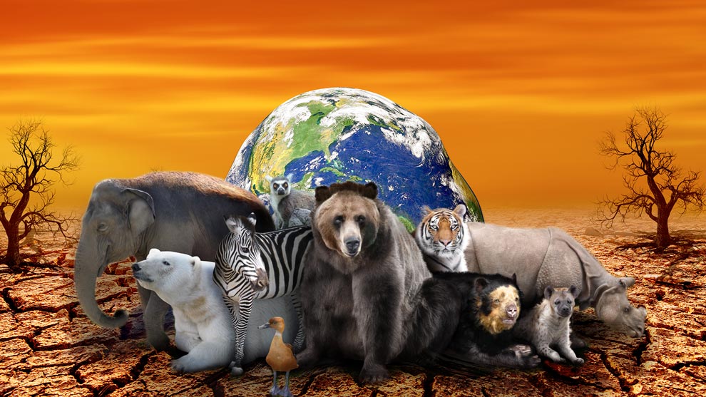 Por qué se PIERDE la BIODIVERSIDAD y se EXTINGUEN animales