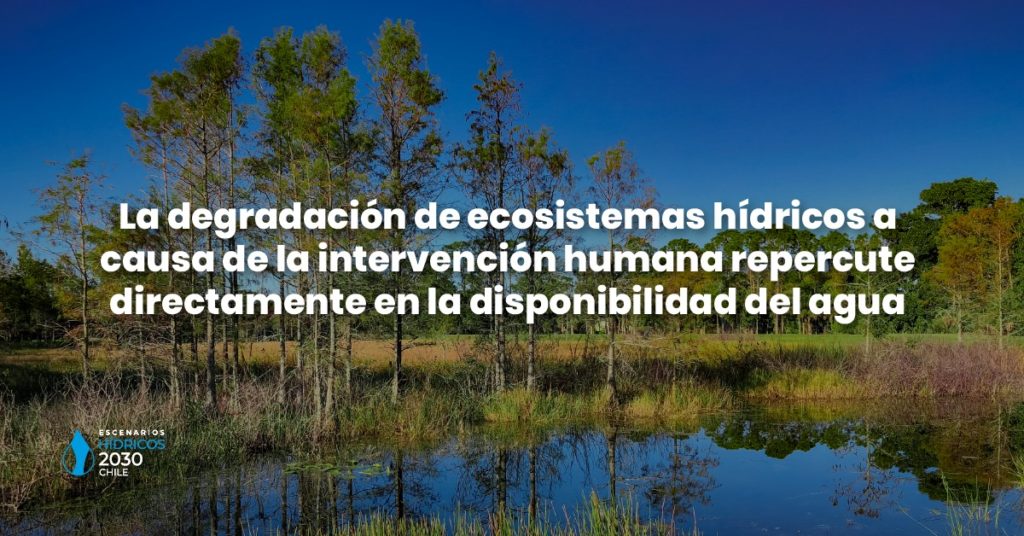 Por qué son tan cruciales los animales para nuestra vida y ecosistemas