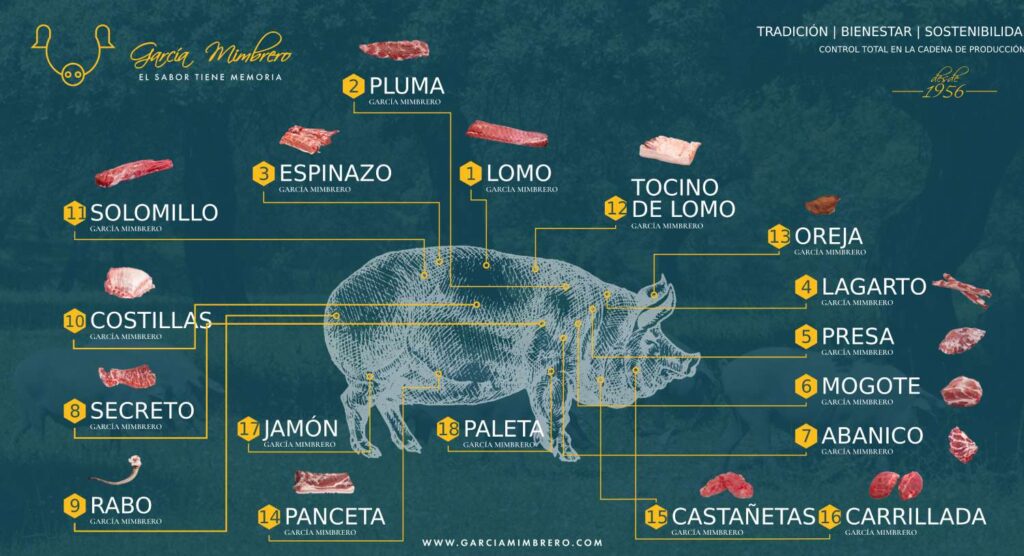 PORCINO: DESCUBRE Qué es y su IMPORTANCIA en la CARNE