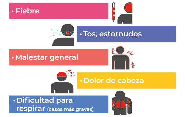 Prevención Secundaria: Ejemplos CLAVE que DEBES Conocer