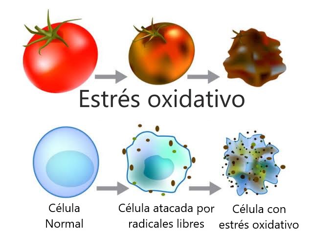 PROCESOS DE OXIDO-REDUCCIÓN: 10 EJEMPLOS interesanteS