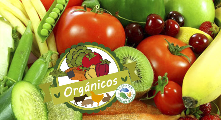 PRODUCTOS ORGÁNICOS: DEFINICIÓN, VENTAJAS Y EJEMPLOS