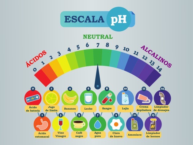 PROPIEDADES FÍSICAS de ÁCIDOS y BASES: ¡Descúbrelas!
