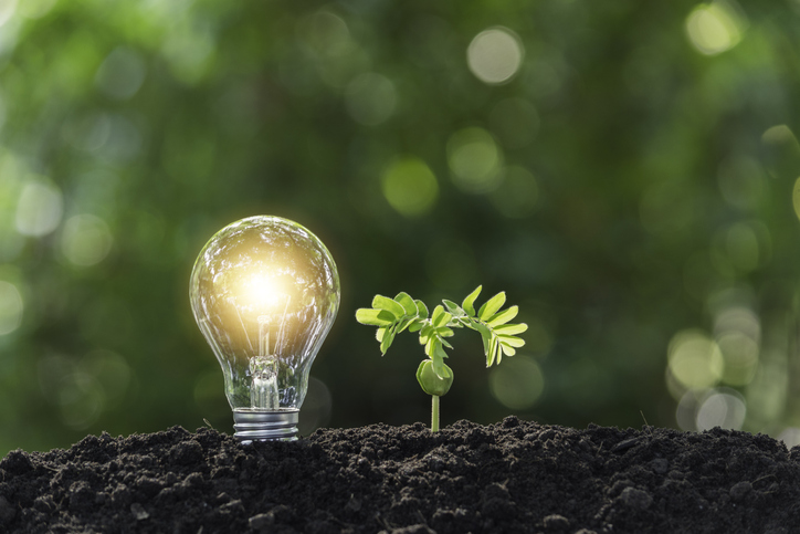 PROYECTOS SUSTENTABLES QUE IMPACTAN EL MEDIO AMBIENTE