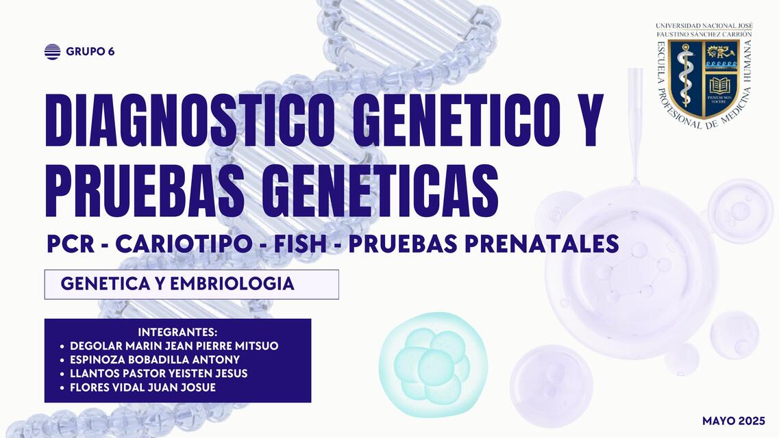 PRUEBAS EMBRIOLOGICAS: Clave para la NUEVA ESCUELA