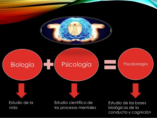 PSICOBIOLOGÍA: DEFINICIÓN, CARACTERÍSTICAS y DISCIPLINAS