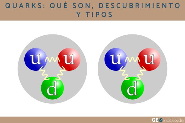 QUARK: Descubre el CONCEPTO, MODELO y CARACTERÍSTICAS