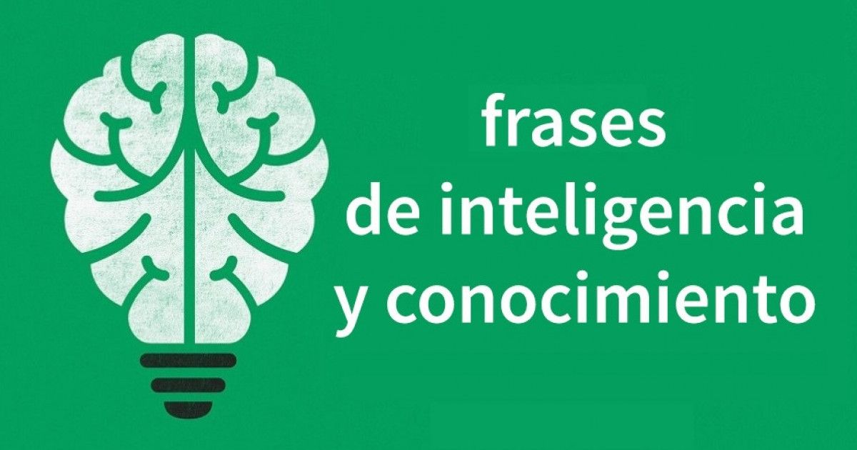 Qué 50 oraciones impactantes enseñan sinónimos útiles