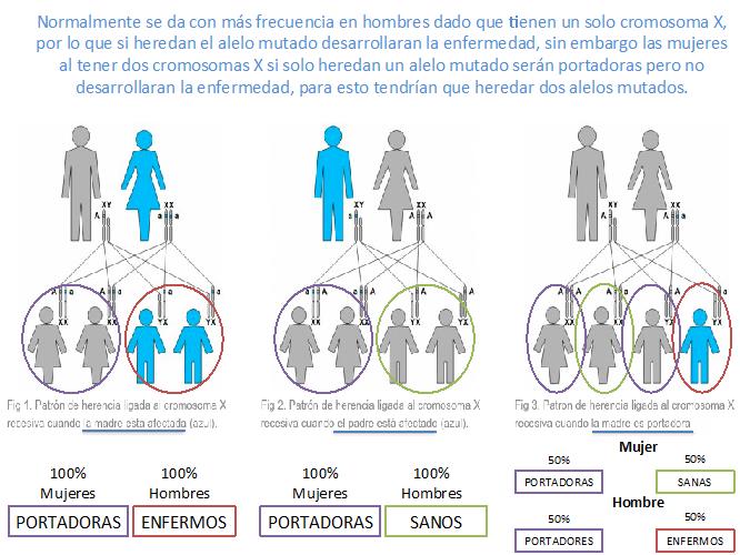 Qué aspectos heredamos de nuestros padres y cómo nos afectan