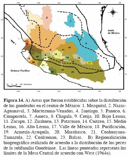 Qué características distinguen el relieve de las mesas en México